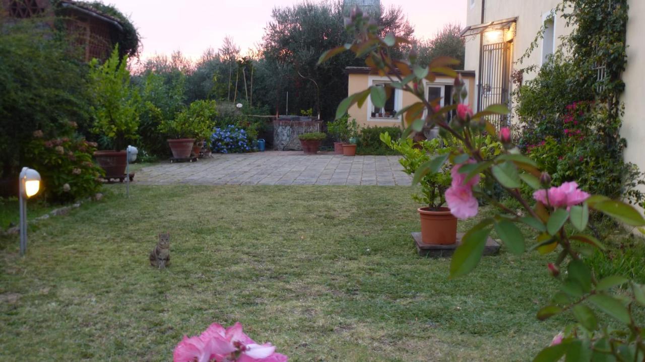 Casa Marce A "Sonno" Bed and Breakfast Porcari Exterior foto