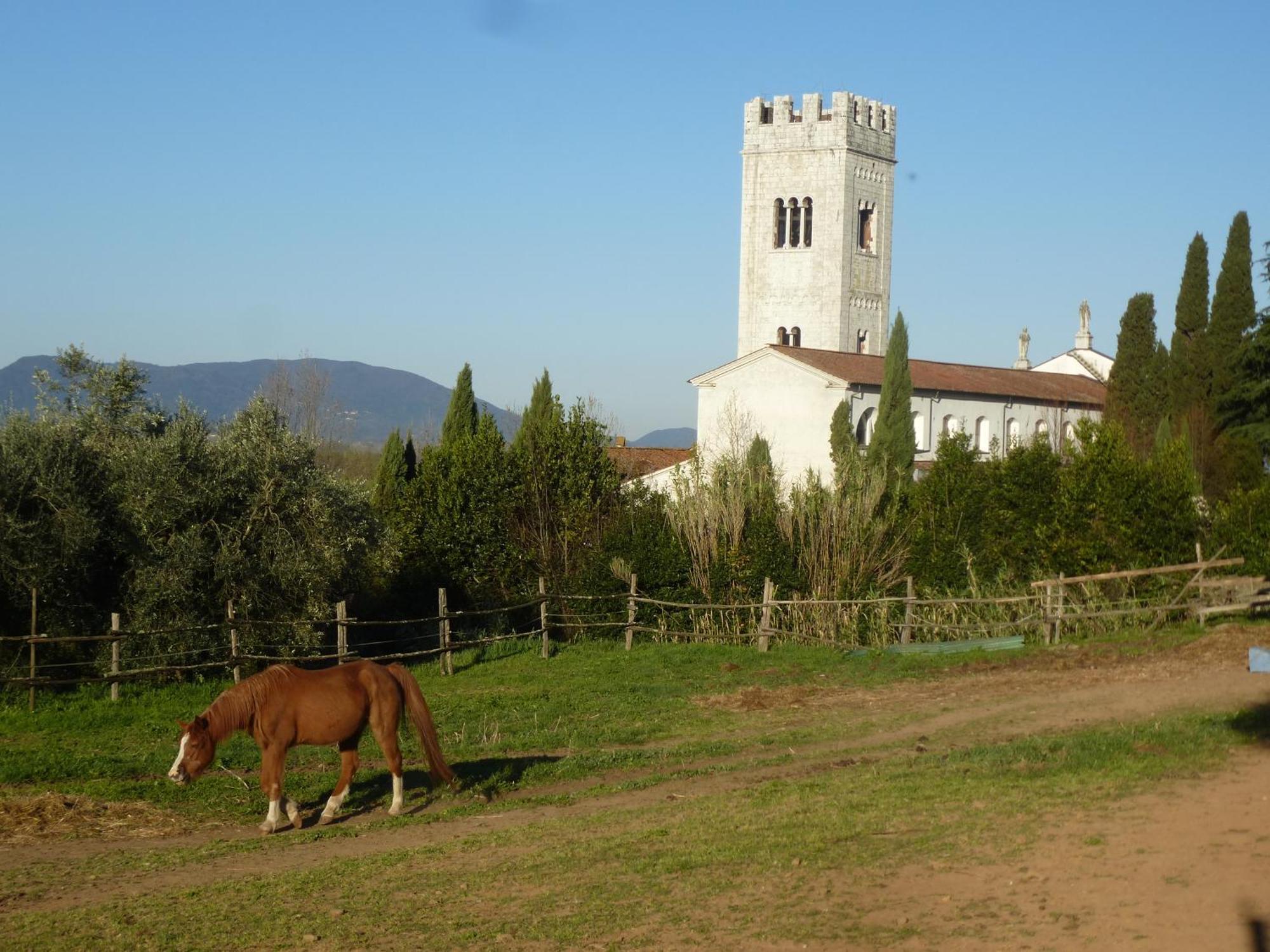 Casa Marce A "Sonno" Bed and Breakfast Porcari Exterior foto